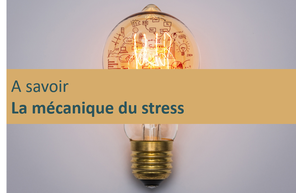 La mécanique du stress