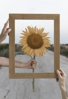 Affirmation de soi